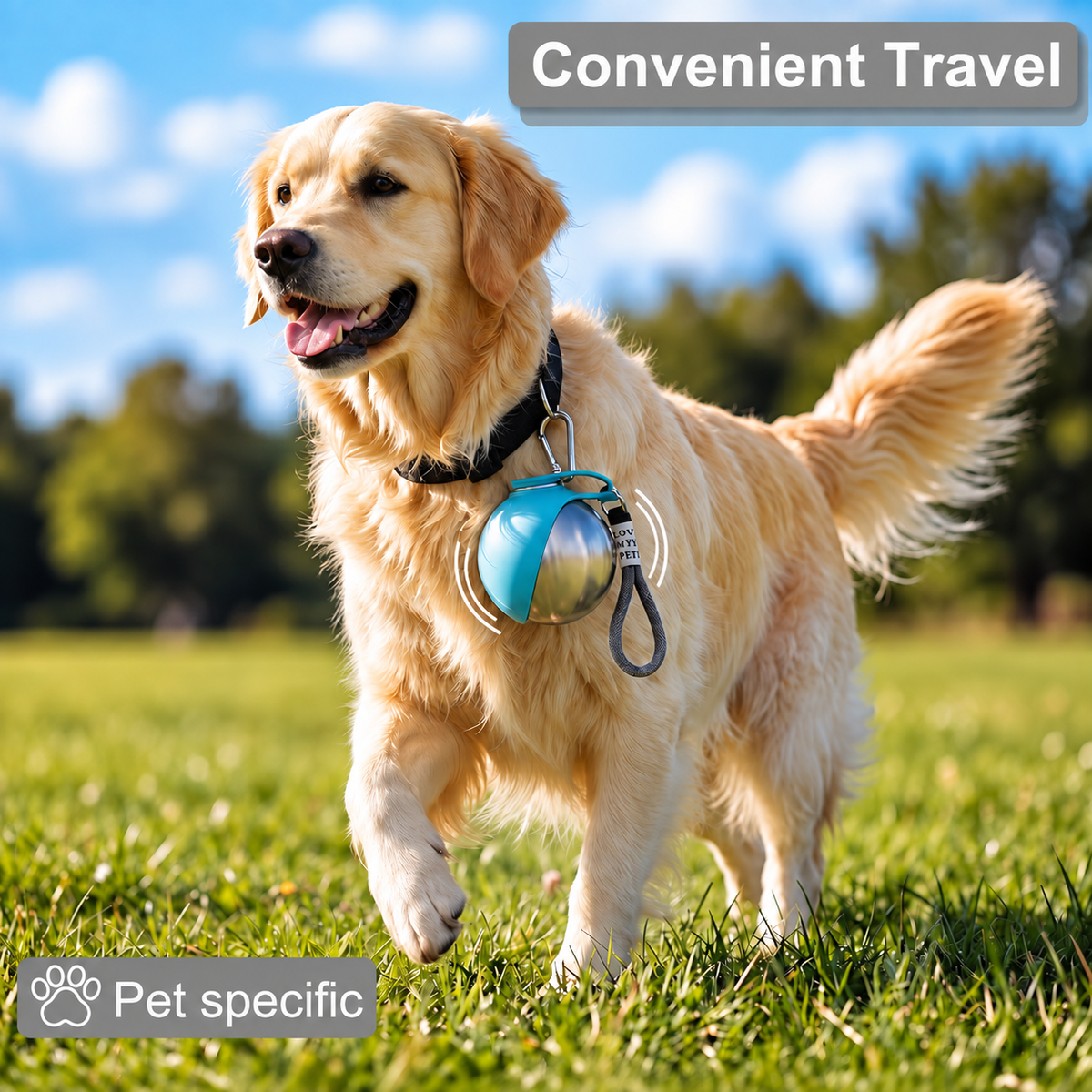 2-in-1 Portable Dog Water Bottle | Leak-Proof Travel Water Bowl for Small Dogs